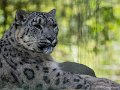 _DSC6206