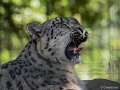 _DSC6226