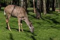 _DSC6379