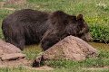 _DSC6448