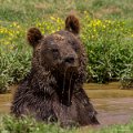 _DSC6474