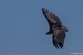 _DSC6660