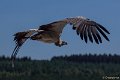 _DSC6671