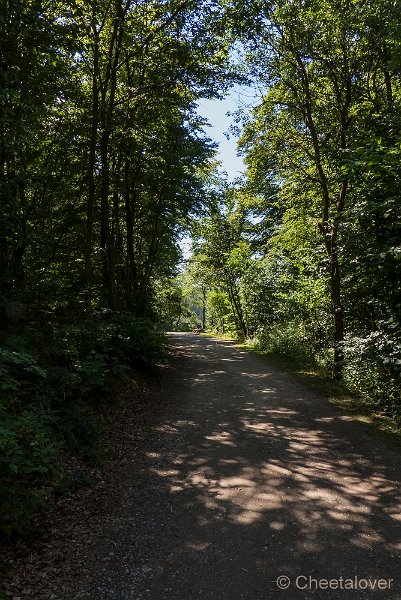 P1210545.JPG - Wildpark Hellenthal