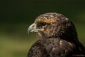 _DSC7173