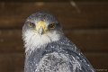 _DSC7188