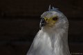 _DSC7200