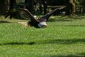 _DSC7329