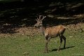 _DSC7365