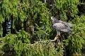 _DSC7417
