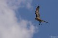 _DSC7554