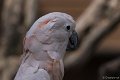 _DSC8538