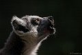 _DSC8568