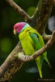 _DSC8597