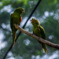 _DSC8600