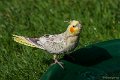_DSC8602