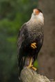 _DSC8725
