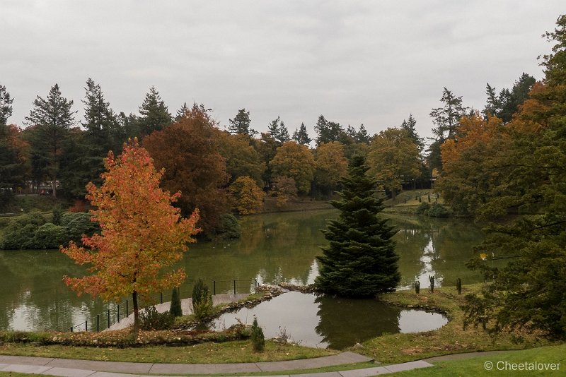 P1250361.JPG - Herfst in Apenheul