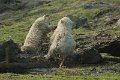 _DSC0374