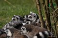 _DSC0508