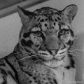 _DSC0149