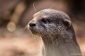 _DSC0361