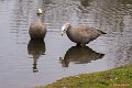 _DSC0052
