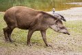 _DSC0078