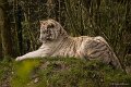 _DSC0168