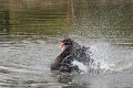 _DSC0331