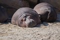 _DSC0256