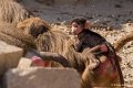 _DSC0430