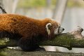 _DSC0129