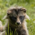 _DSC0147