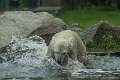 _DSC0262