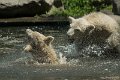 _DSC0325
