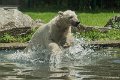 _DSC0481