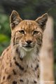 _DSC0729