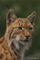 _DSC0741
