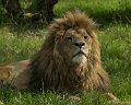 _DSC0983