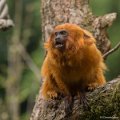 _DSC0027