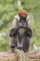 _DSC0215