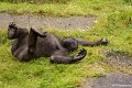 _DSC0277