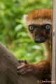 _DSC0357