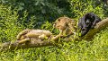 _DSC0407