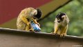 _DSC0467