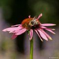 _DSC0494