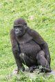 _DSC0050