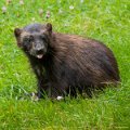 _DSC0662