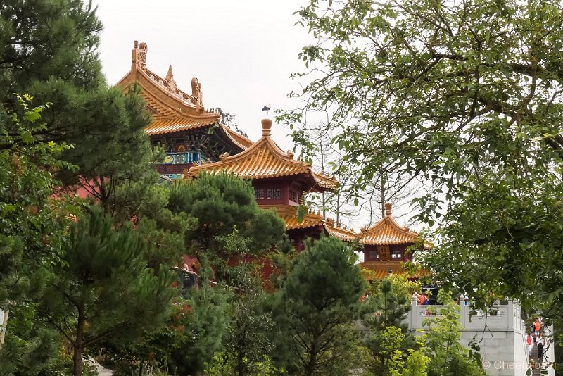 P1290142.JPG - Paira Daiza, het park